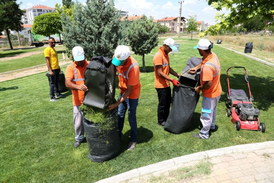 Ahmet Naif Parkı Temizliği